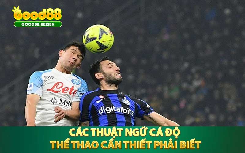 Các thuật ngữ cá độ thể thao khác mọi người cần thiết phải biết