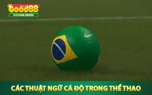 Các thuật ngữ cá độ cần nắm chắc trong thể thao