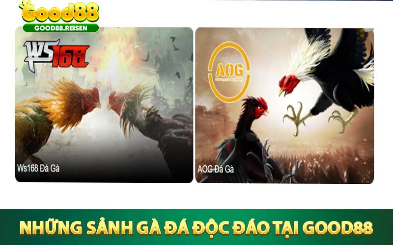 Những sảnh gà đá độc đáo tại hệ thống Good88