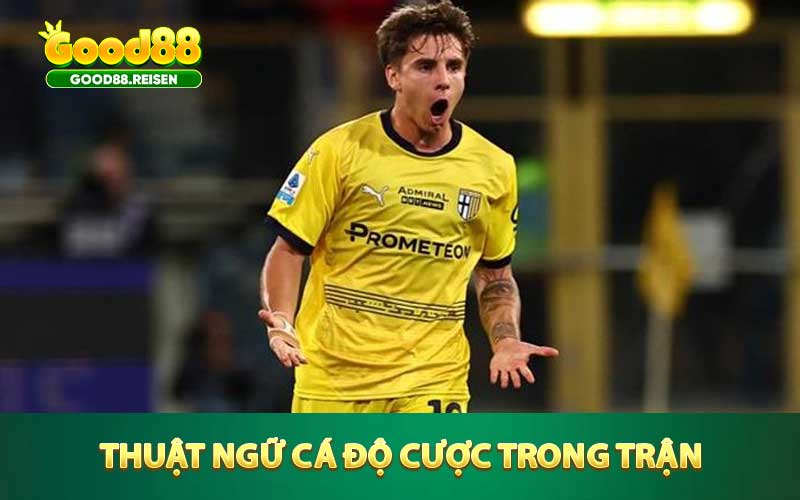 Thuật ngữ cá độ cược trong trận